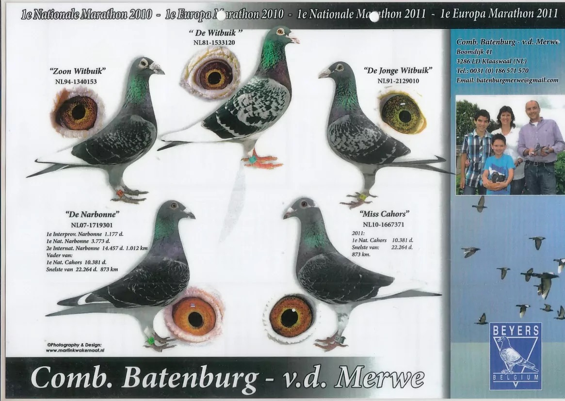stamkaart-Batenburg